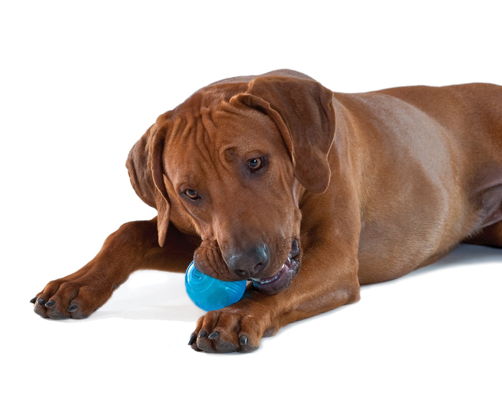 TOYD56_Outward Hound_Petstages_Orka Tennis Ball