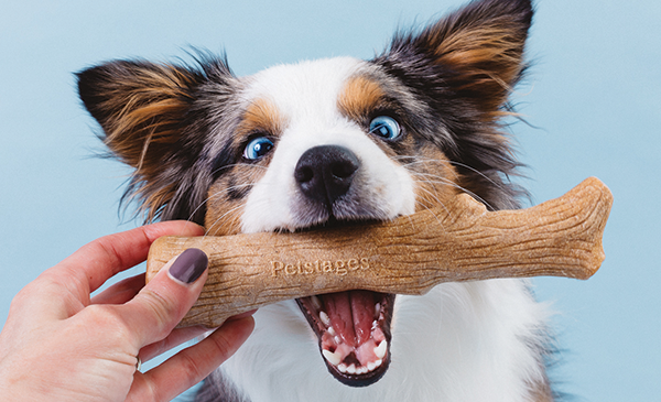 Petstages_Dogwood