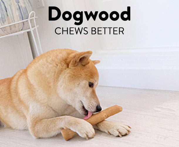 Petstages_Dogwood