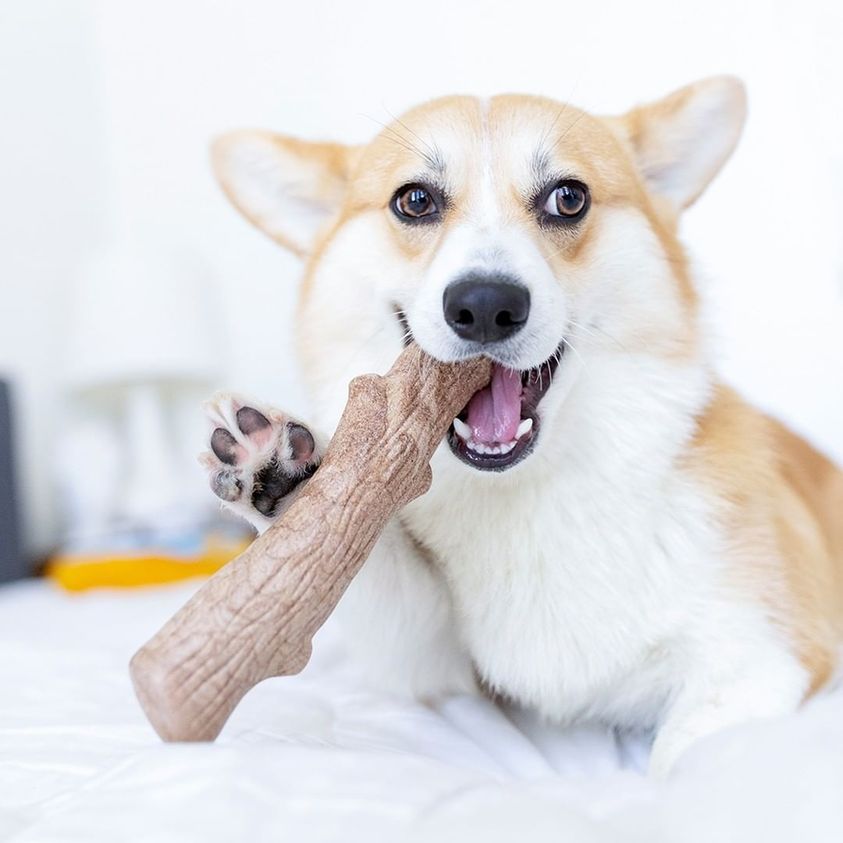 Petstages_Dogwood