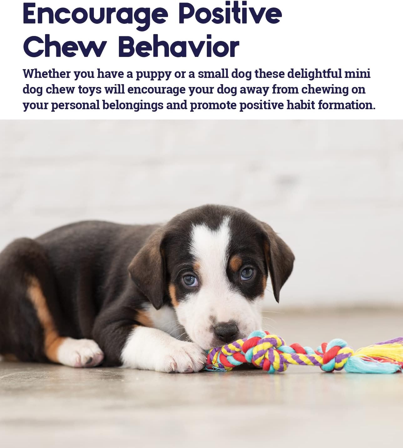 TOYD66_Petstages_Mini Dental Chew Pack
