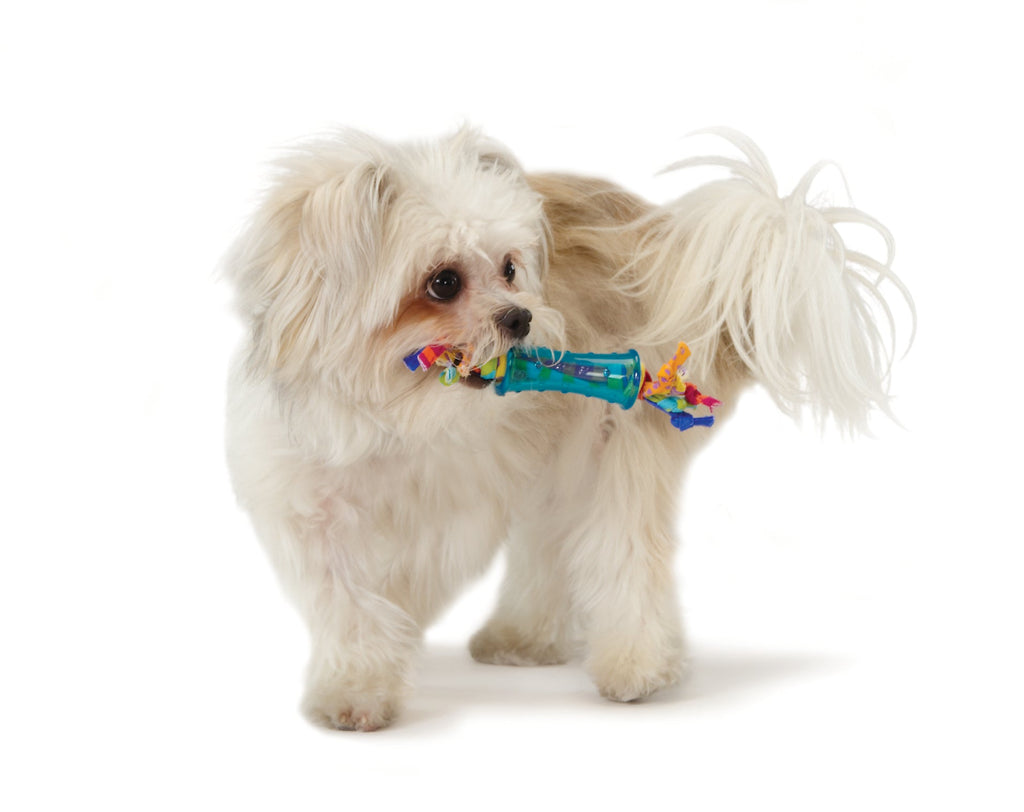 TOYD66_Petstages_Mini Dental Chew Pack
