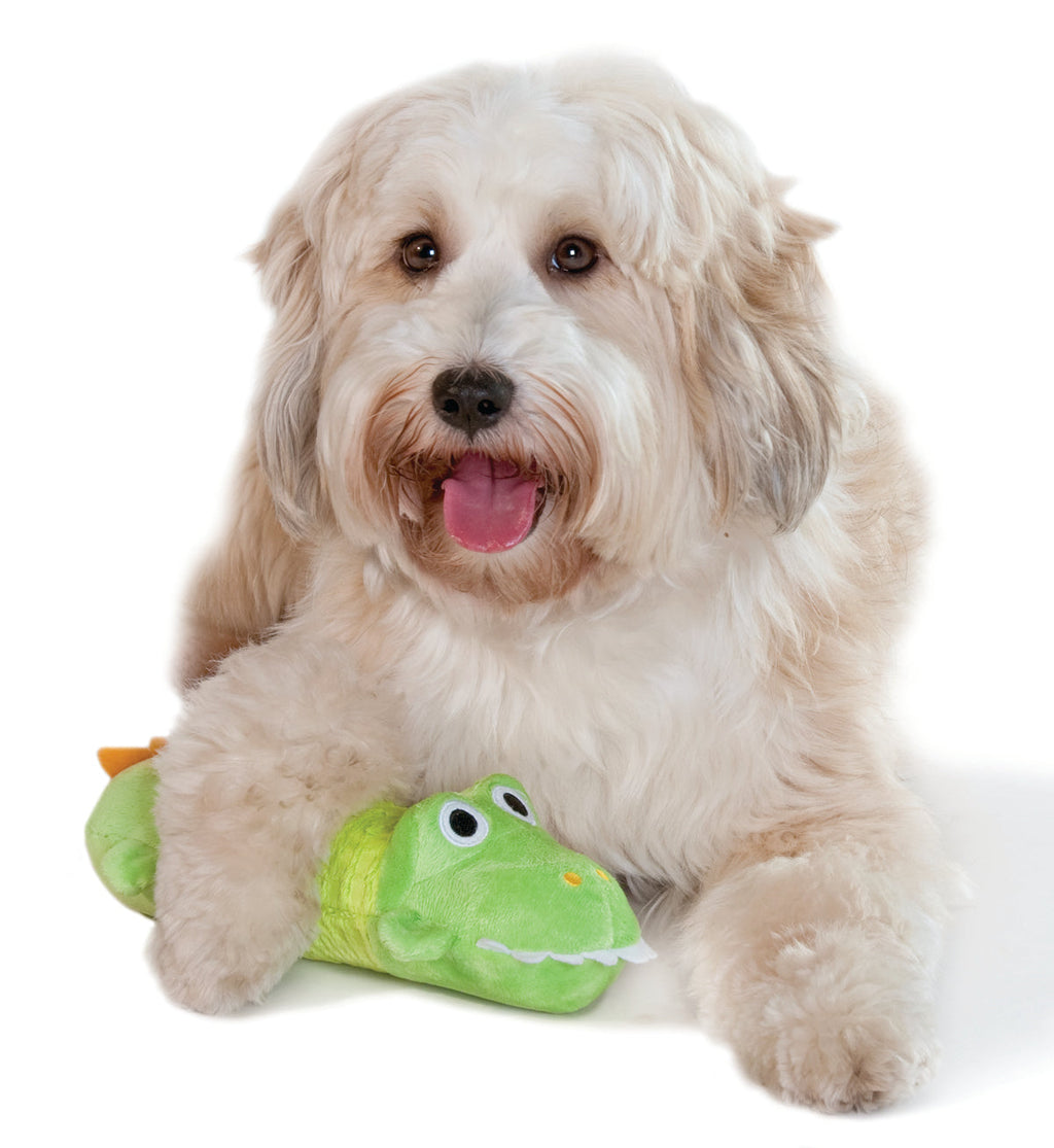 TOYD70_Petstages_Big Squeak Gator