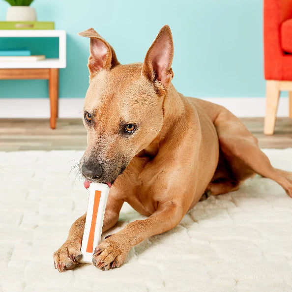 TOYD79_Outward Hound_Petstages_Beyond Bone