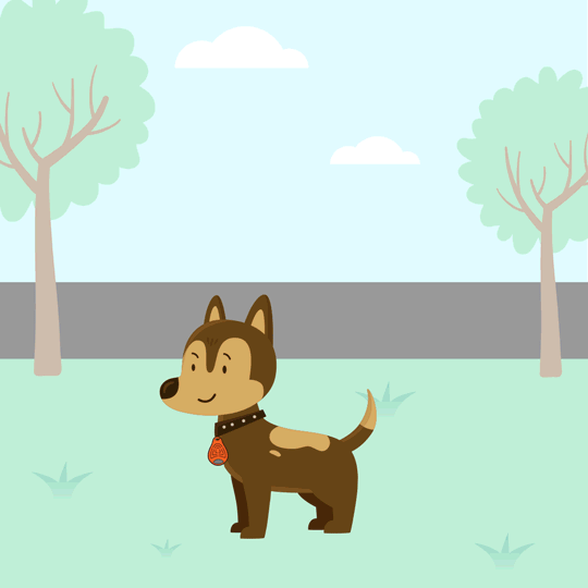 Tickless Pet