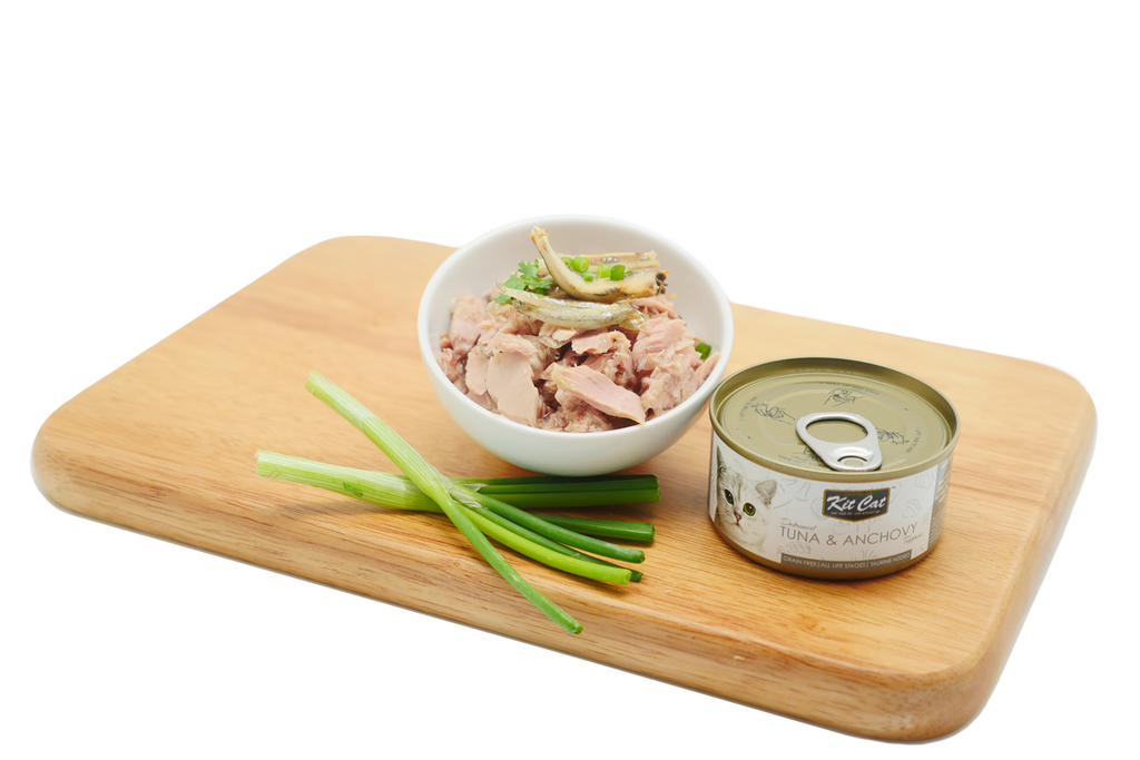 Kit Cat Canned Food Aspic/Toppers Bulk Deal (80g x 24 tins)