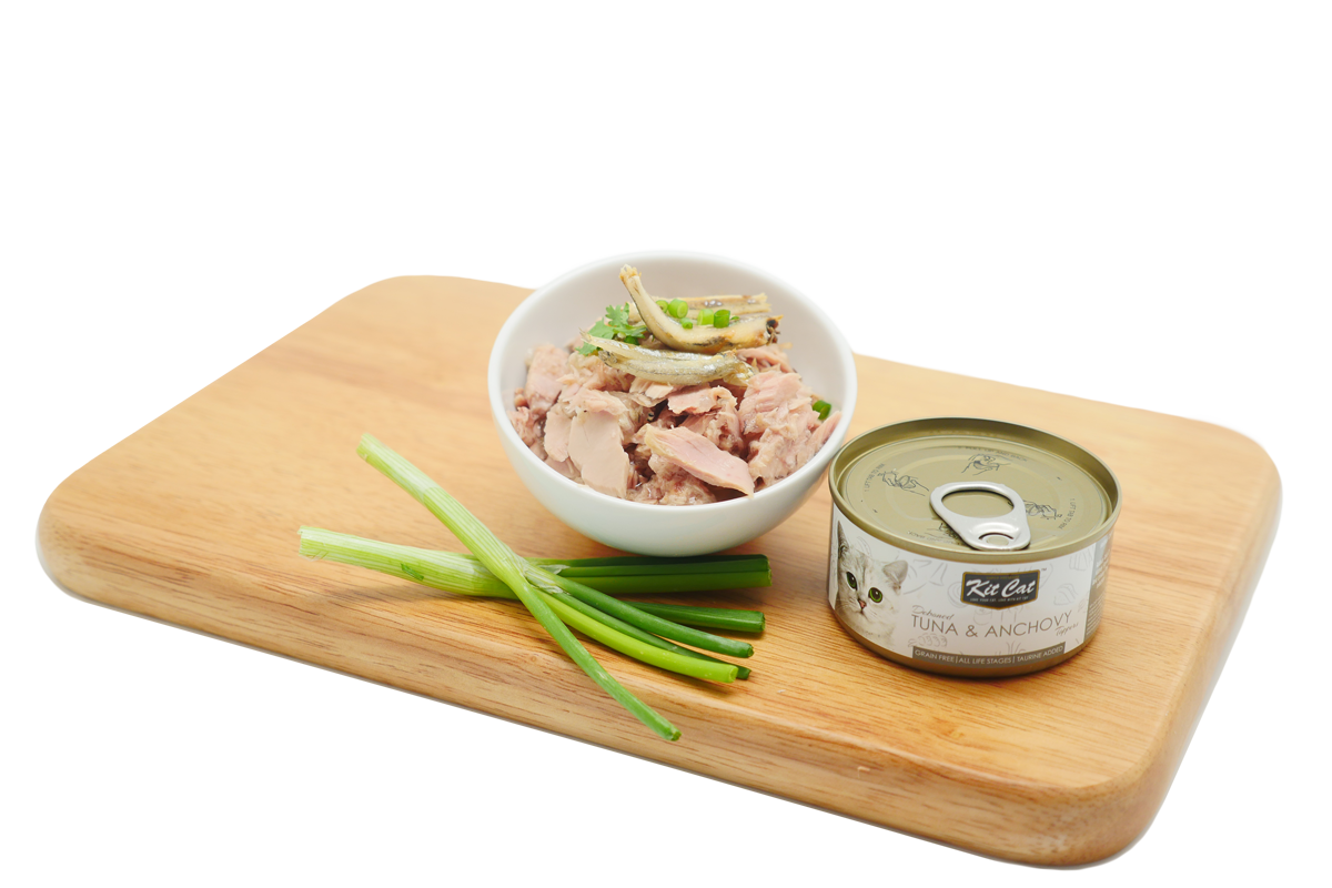 Kit Cat Canned Food Aspic/Toppers Bulk Deal (80g x 24 tins)