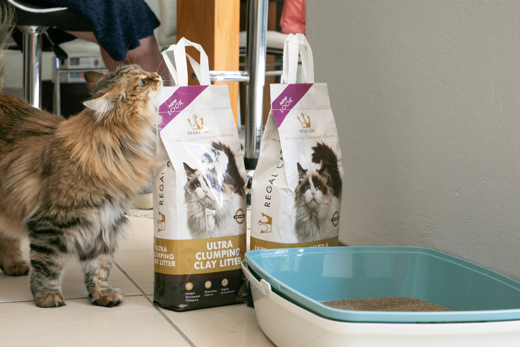 Regal Ultra Clumping Cat Litter Bulk Deal (5kg x 3 bags)
