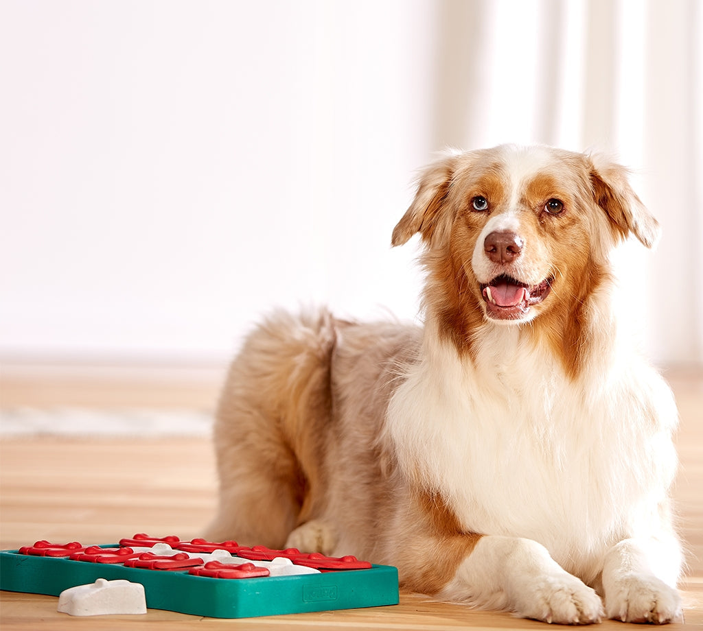 Nina Ottosson Dog Brick Blue