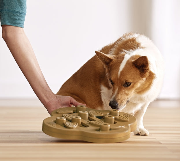 Nina Ottosson Dog Hide 'n Slide Composite